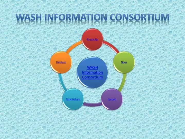 wash information consortium