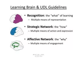 Learning Brain &amp; UDL Guidelines