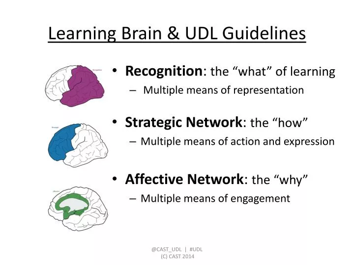 learning brain udl guidelines
