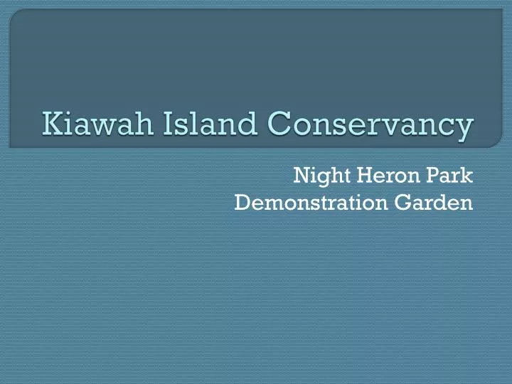 kiawah island conservancy