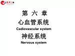 第 六 章 - slide 1