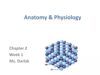 Anatomy &amp; Physiology