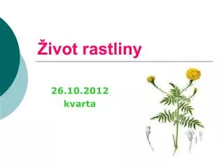 ivot rastliny
