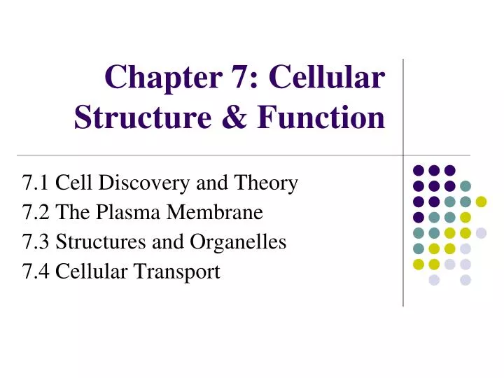 chapter 7 cellular structure function