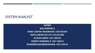 system analyst