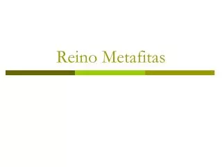 reino metafitas