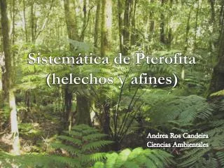 sistem tica de pterofita helechos y afines