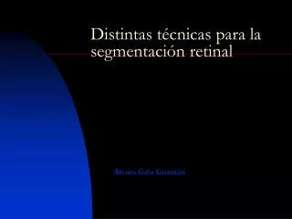 distintas t cnicas para la segmentaci n retinal