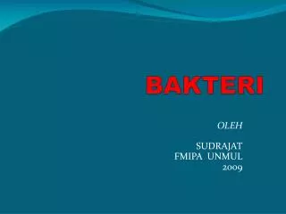 bakteri
