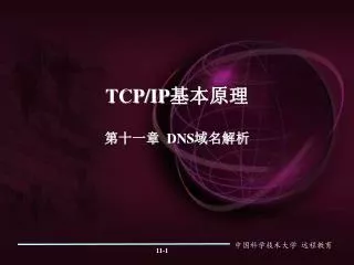 tcp ip dns