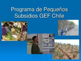 programa de peque os subsidios gef chile