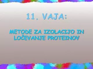11 vaja