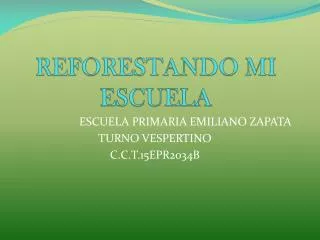 reforestando mi escuela