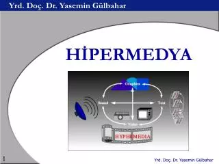 yrd do dr yasemin g lbahar