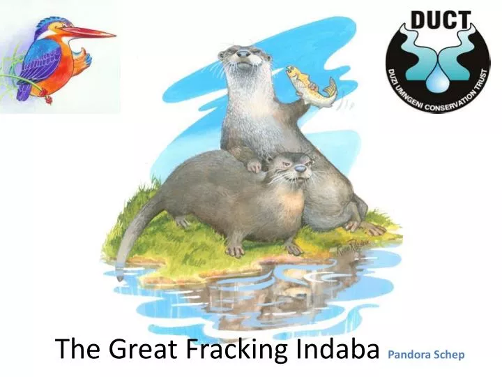 the great fracking indaba pandora schep