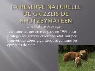 la reserve naturelle de grizzlis de khutzeymateen
