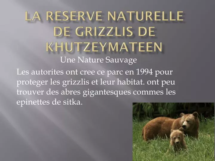 la reserve naturelle de grizzlis de khutzeymateen
