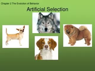 Artificial Selection
