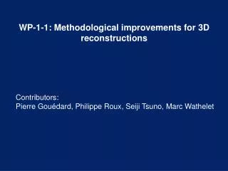 WP-1-1: Methodological improvements for 3D reconstructions
