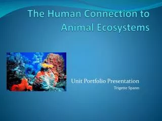 the human connection to animal ecosystems