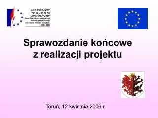 sprawozdanie ko cowe z realizacji projektu
