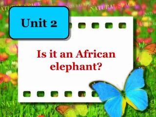 Is it an African elephant?