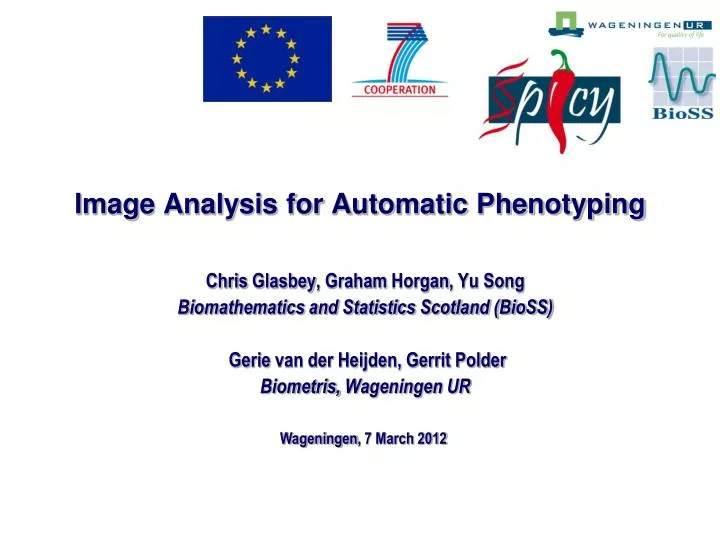 image analysis for automatic phenotyping
