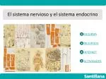 El sistema nervioso y el sistema endocrino - slide 1