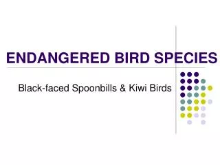 ENDANGERED BIRD SPECIES
