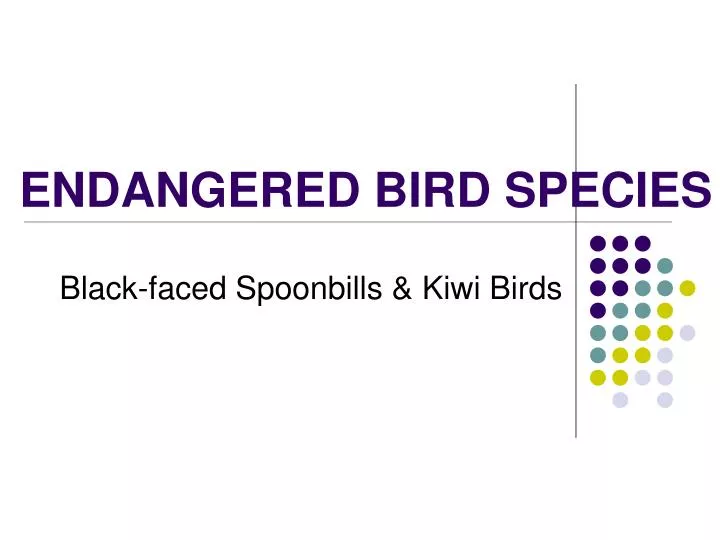 endangered bird species