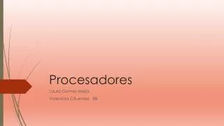 procesadores