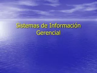 sistemas de informaci n gerencial