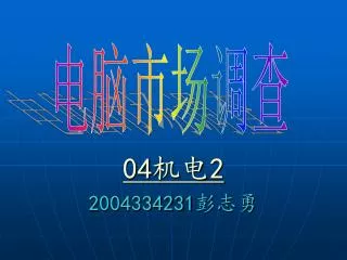 04 2 2004334231