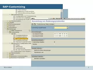 SAP-Customizing