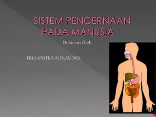 sistem pencernaan pada manusia