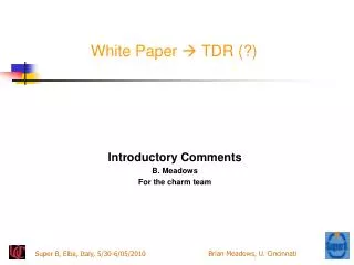 White Paper ? TDR (?)