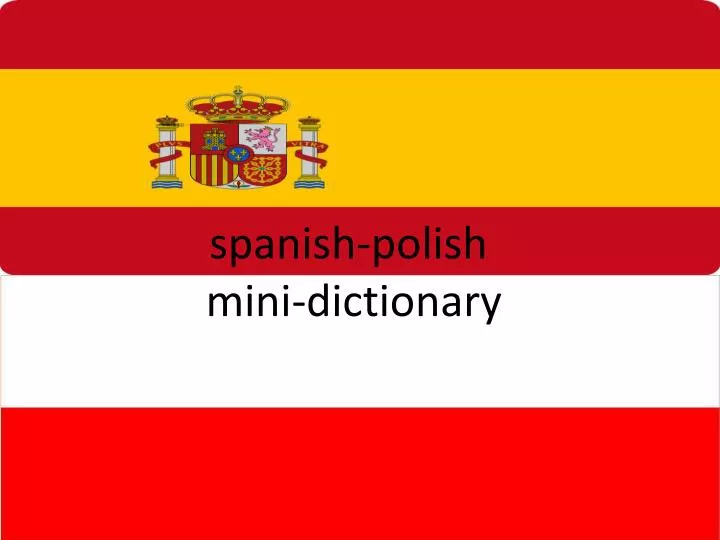 spanish polish mini dictionary