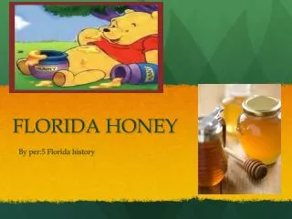 FLORIDA HONEY