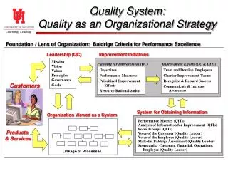 Performance Metrics (QITs) Analysis of Information for Improvement (QITs) Focus Groups (QITs)