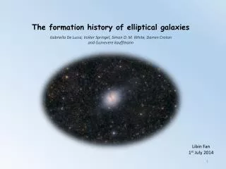 The formation history of elliptical galaxies