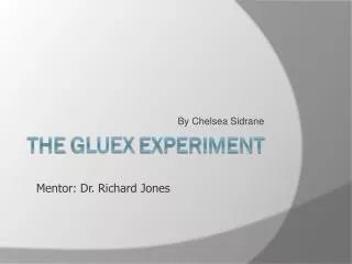 The Gluex Experiment