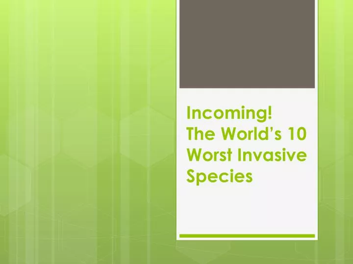 incoming the world s 10 worst invasive species