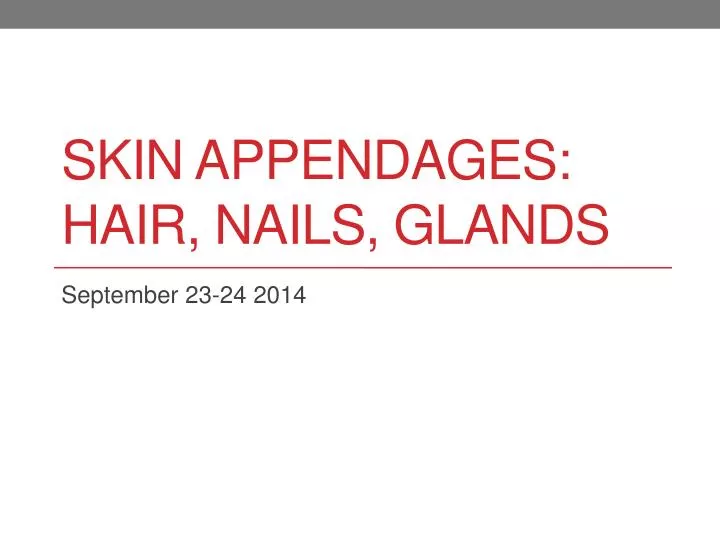 skin appendages hair nails glands