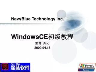 navyblue technology inc