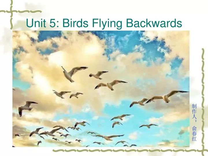 unit 5 birds flying backwards
