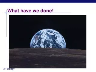 what have we done