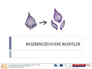 rozmno ov n rostlin