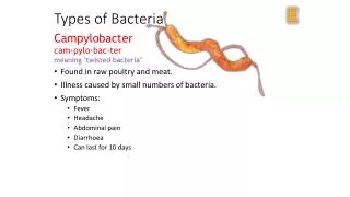 Types of Bacteria