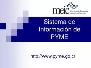 sistema de informaci n de pyme