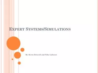 Expert Systems/Simulations